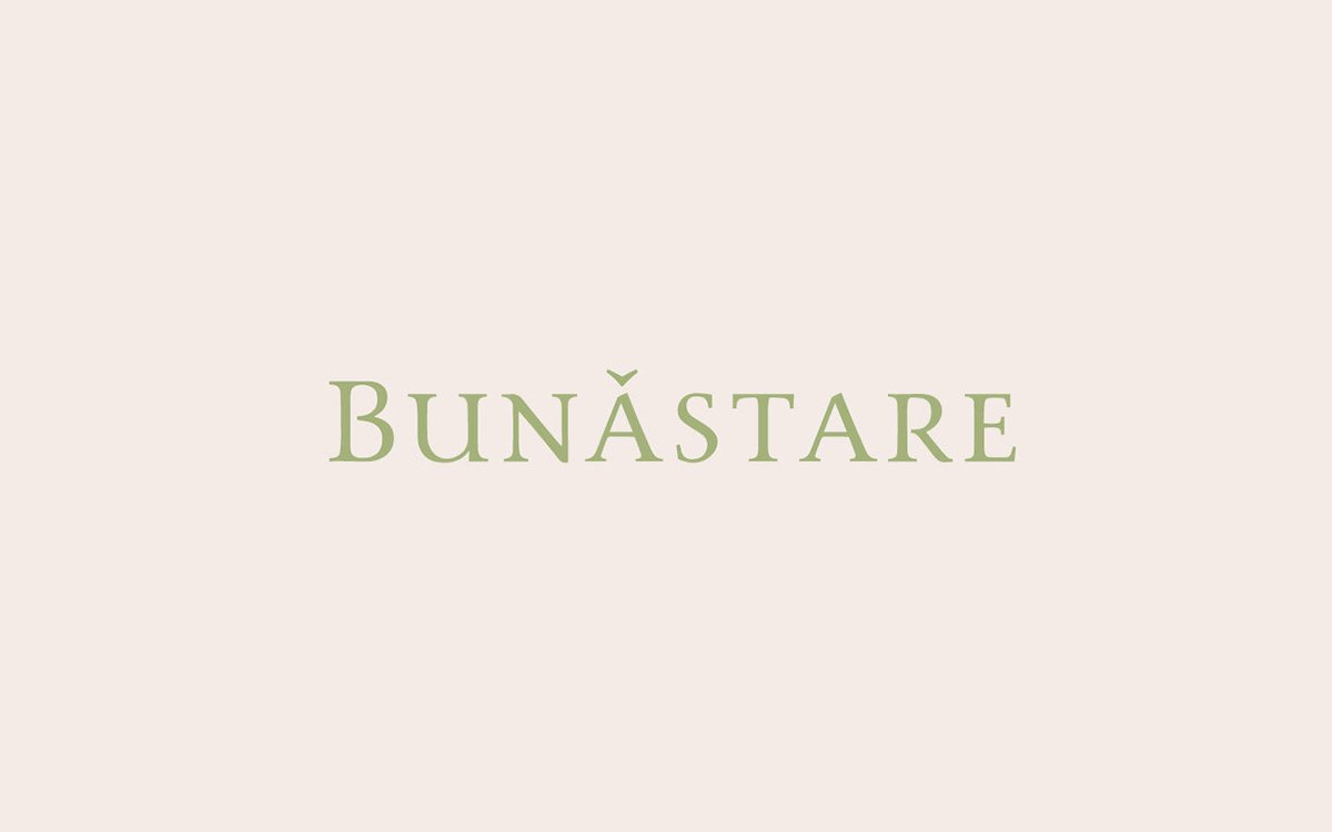 BUN?STARE美容品牌包裝vi設(shè)計——有機化妝品品牌視覺設(shè)計，vi設(shè)計，視覺設(shè)計，化妝品品牌vi設(shè)計，化妝品vi設(shè)計，企業(yè)vi設(shè)計，品牌vi設(shè)計，美容品牌vi設(shè)計，vi品牌策劃，深圳vi設(shè)計，左右格局